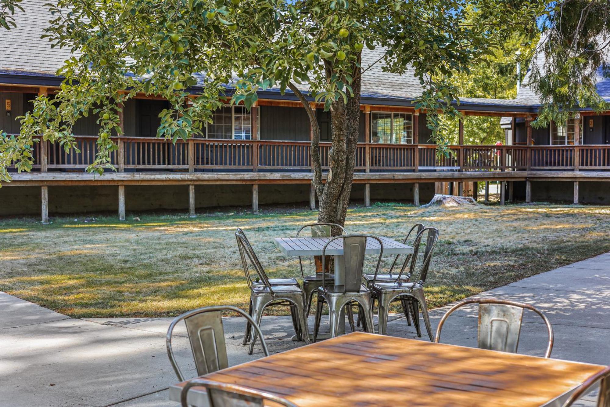 Shasta View Lodge McCloud Eksteriør billede
